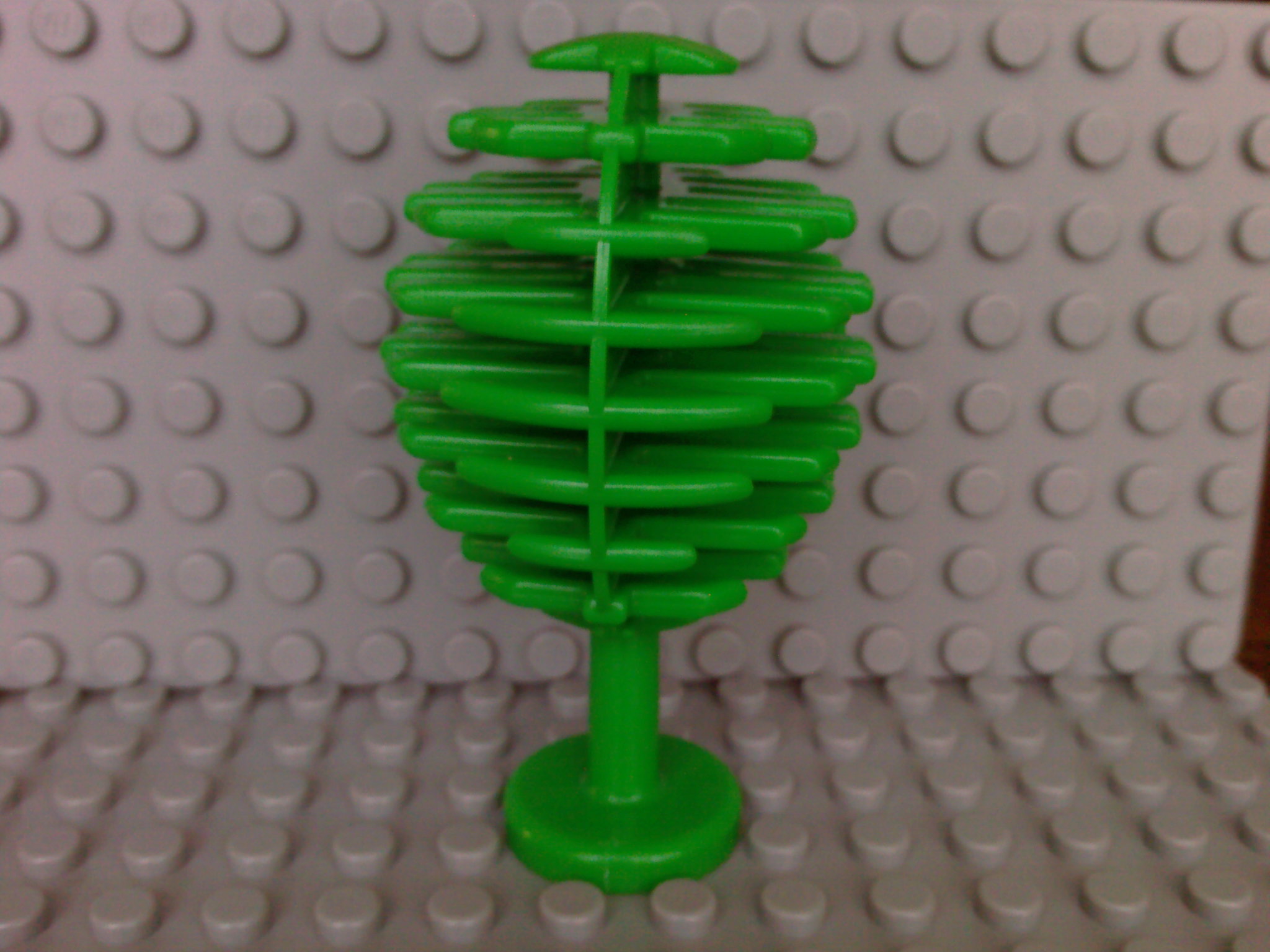 3470_-_plant_tree_fruit_bright-light-green.jpg