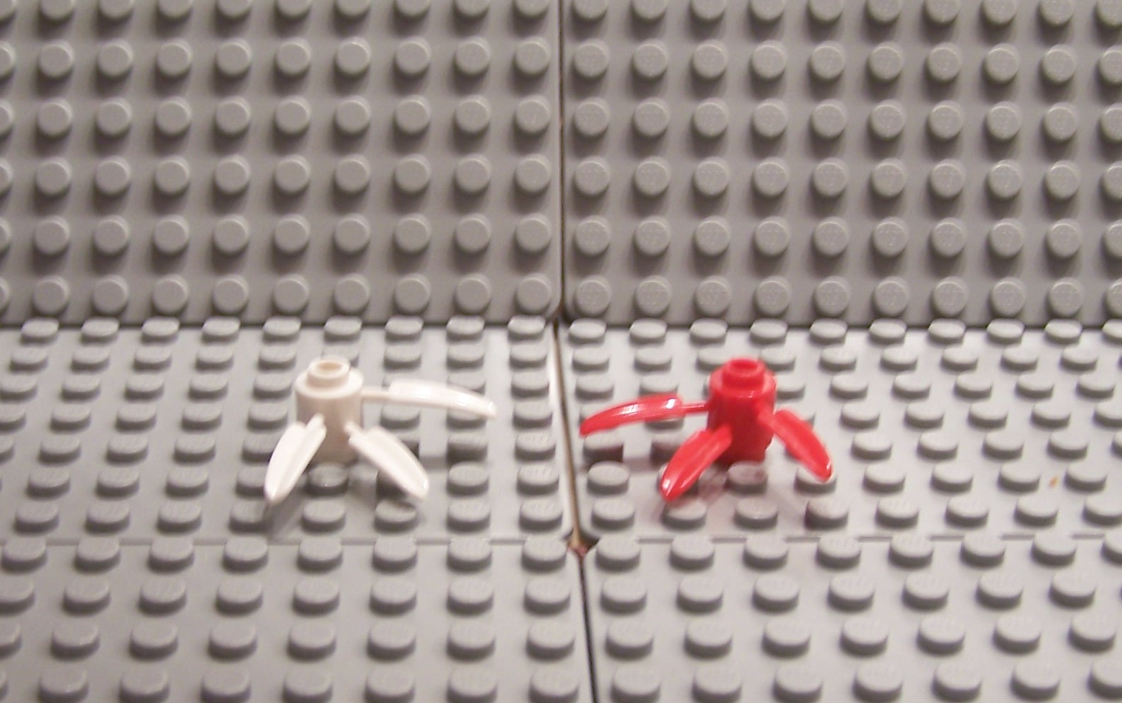 100_4846.jpg