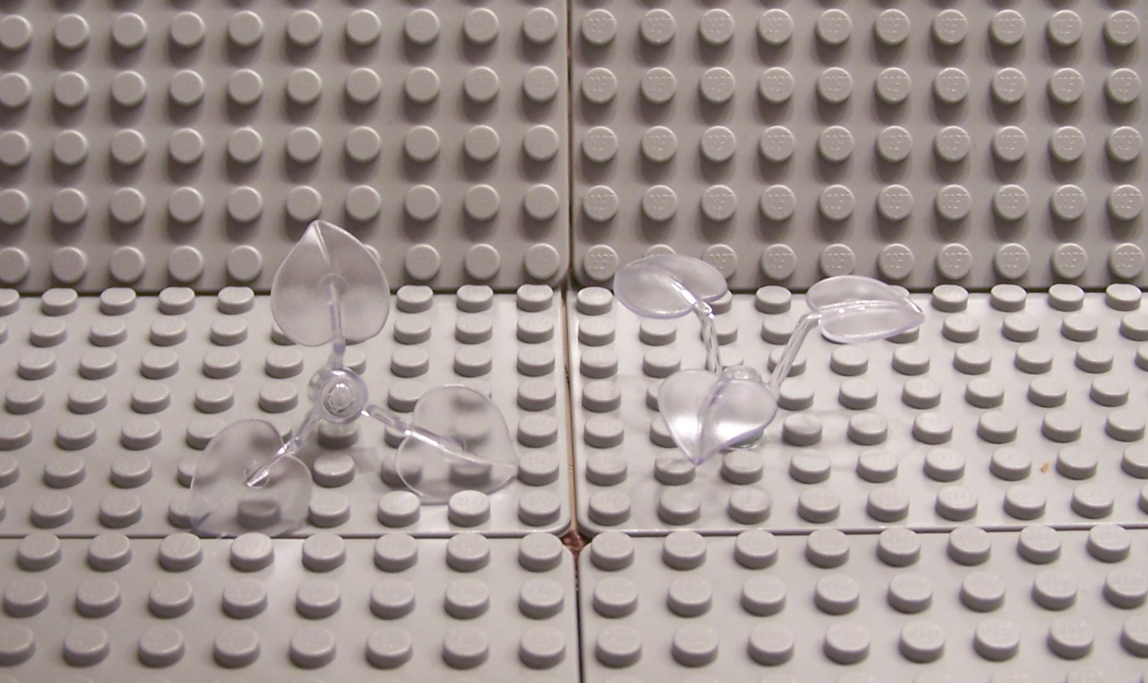 100_4847.jpg