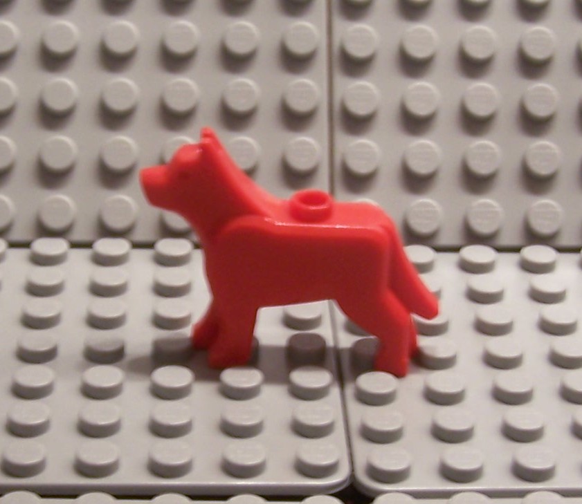 100_4862.jpg