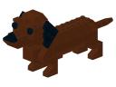 dachshund.jpeg