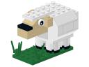 sheep.jpeg