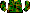1_camo.bmp
