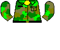 camo_2.bmp