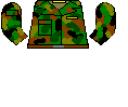 1_camo.bmp