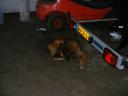 dscf5453.jpg