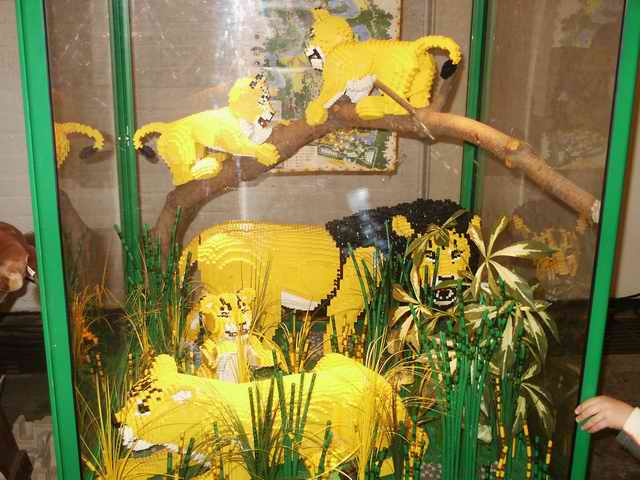 pict0501.jpg