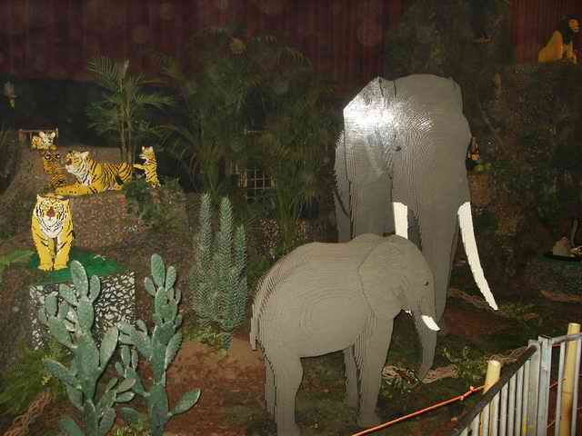 pict0541.jpg