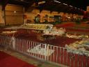 pict0475.jpg