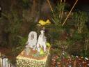 pict0544.jpg