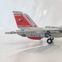 tomcat_polowa_1.jpg