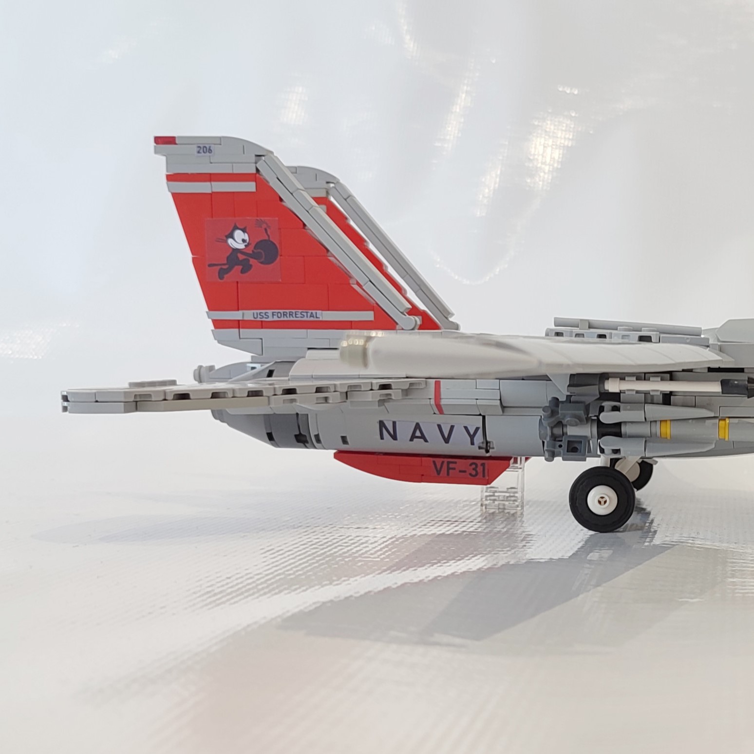 tomcat_polowa_1.jpg