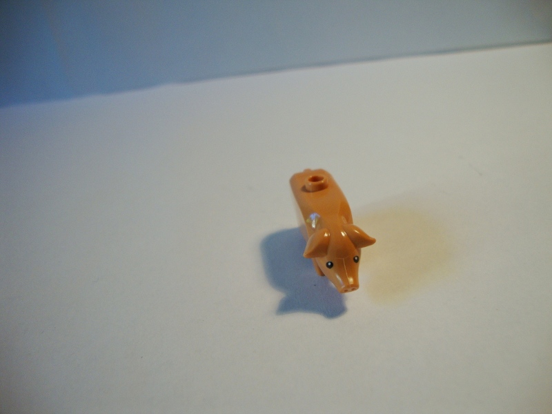 dsc02889.jpg