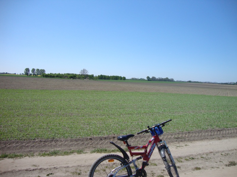 dsc03532.jpg