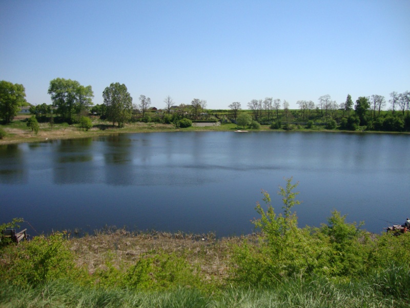 dsc03537.jpg