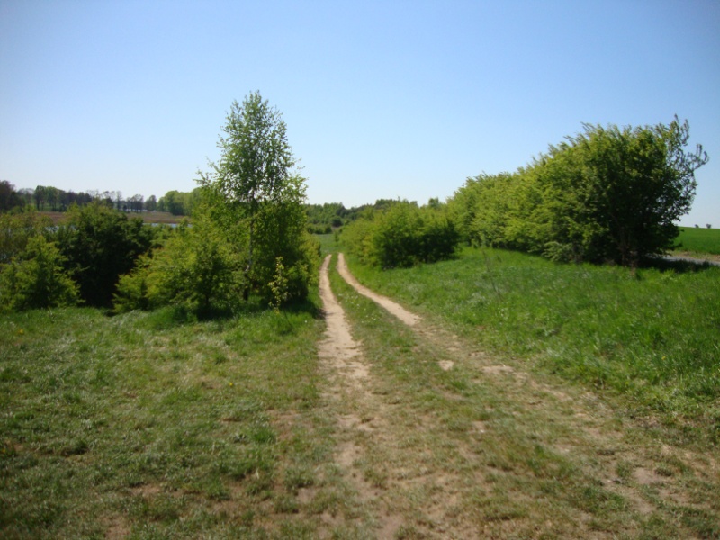 dsc03540.jpg