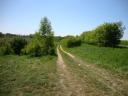 dsc03540.jpg