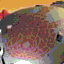 bohrak_kal_head_tahnok_icon.gif