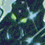 toa_metru_whenua_icon.gif