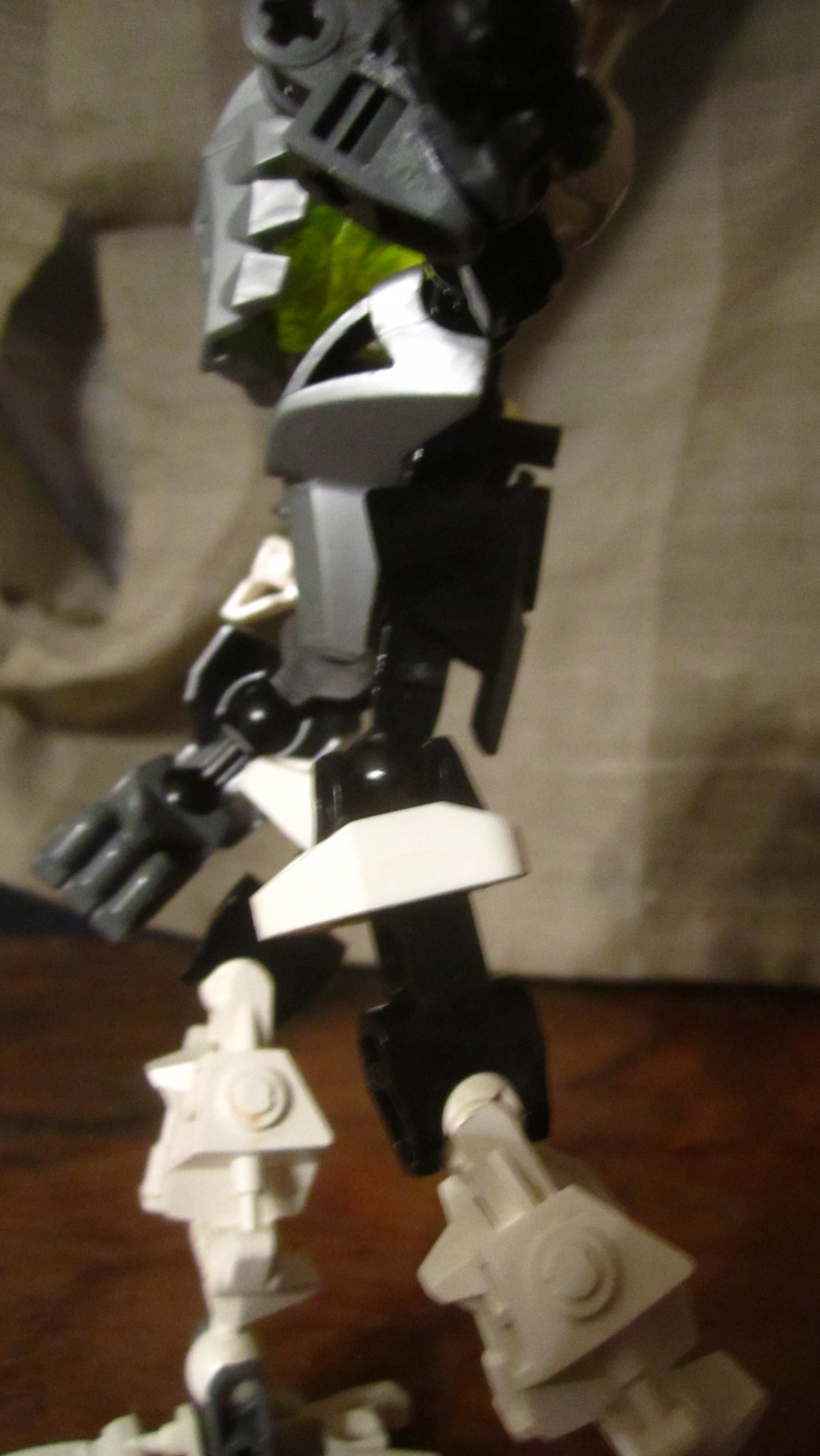 takanuva_lariska_017.jpg
