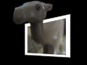 camel.jpg