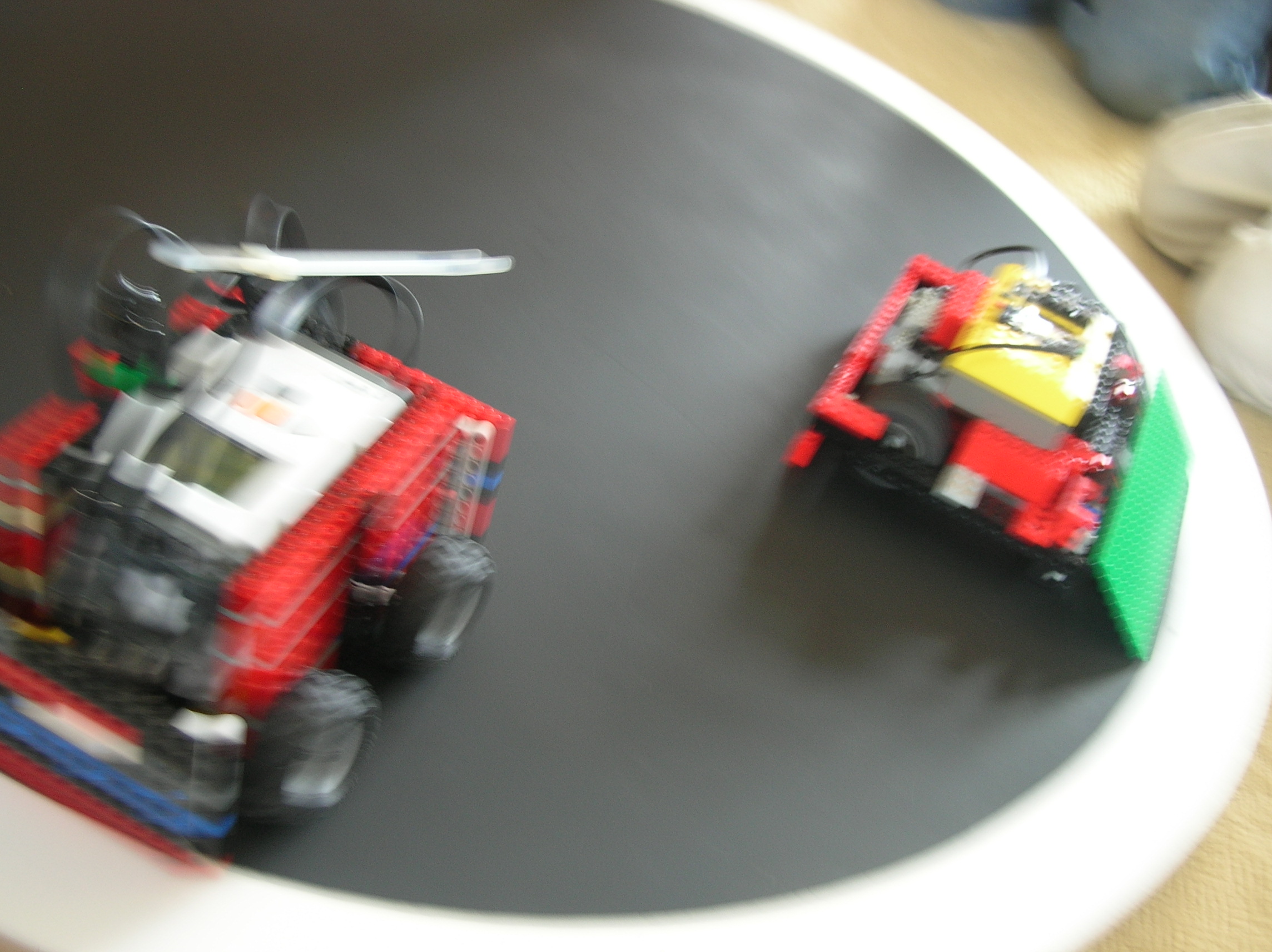 sumo_054.jpg