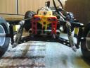 buggy_04.jpg