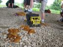 gpm_20110618_img_3444.jpg