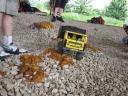 gpm_20110618_img_3445.jpg