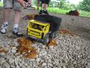 gpm_20110618_img_3446.jpg