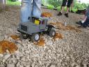 gpm_20110618_img_3467.jpg