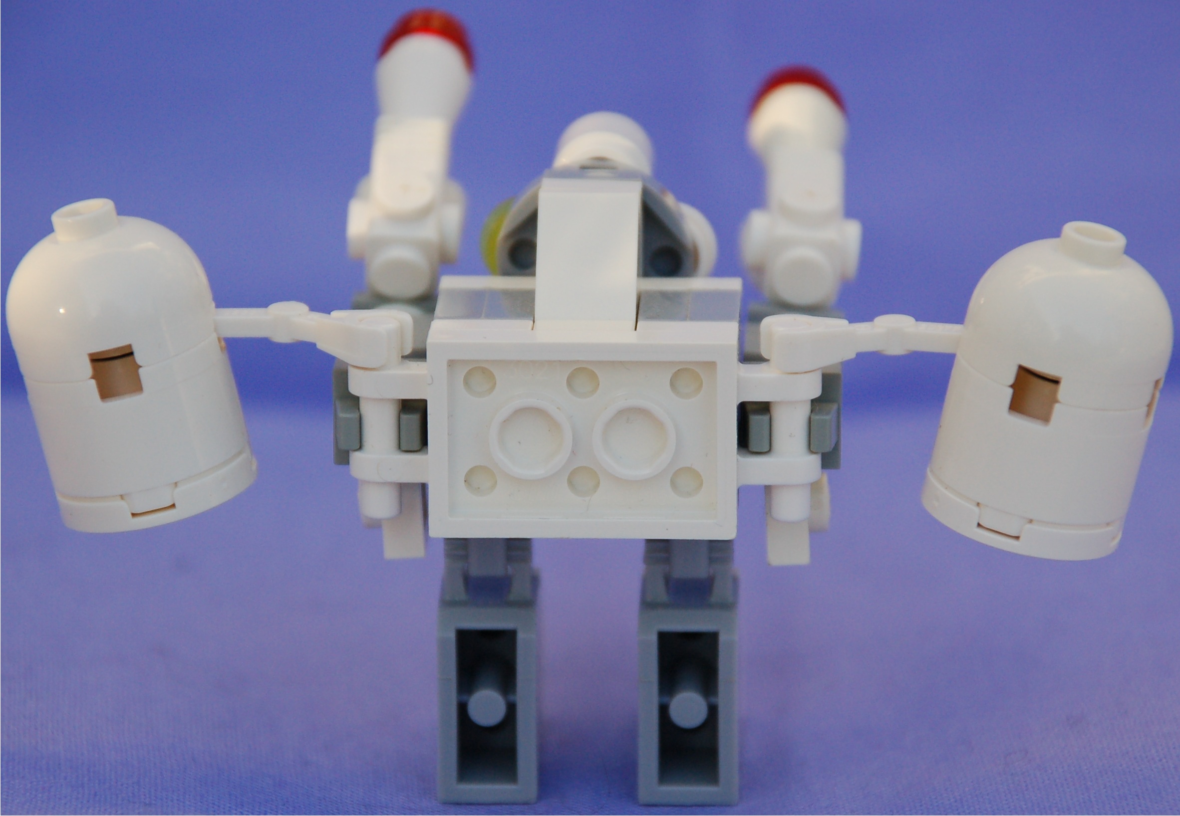 pistoleer__rear.jpg