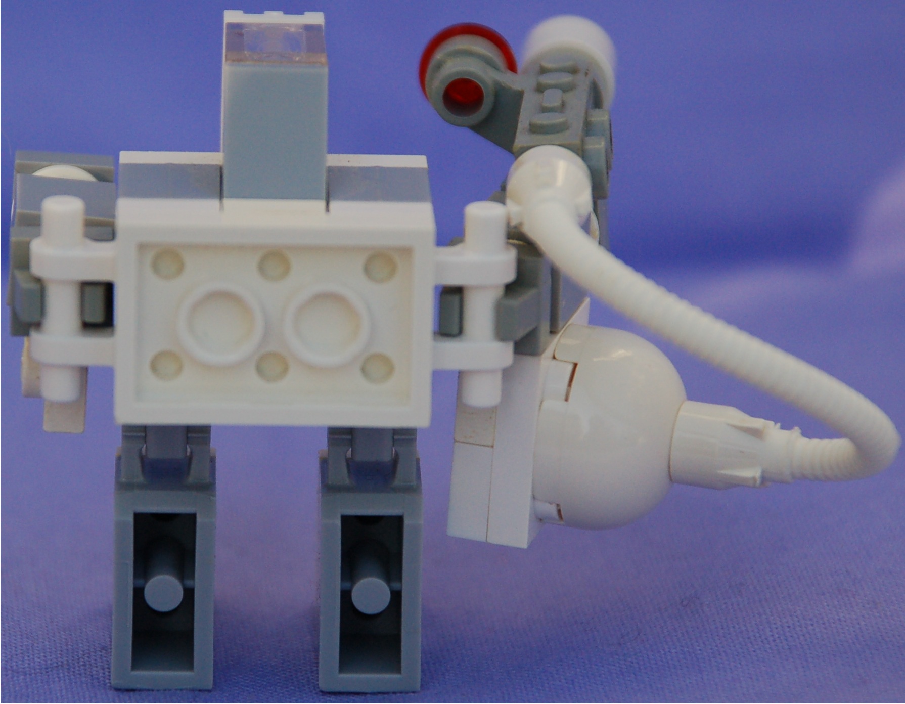 rifleman__rear.jpg