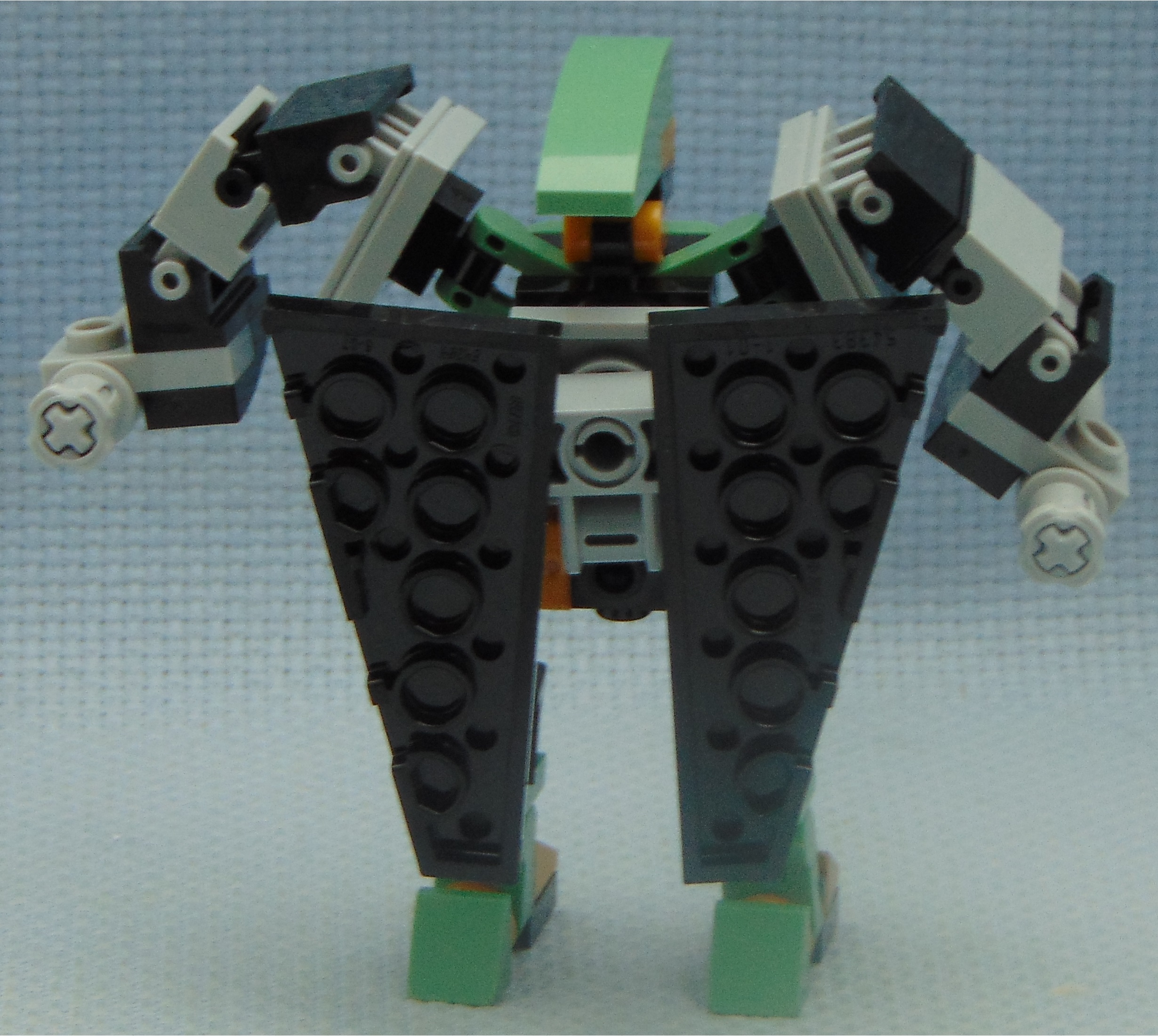 jacaranda_asm__rear.jpg