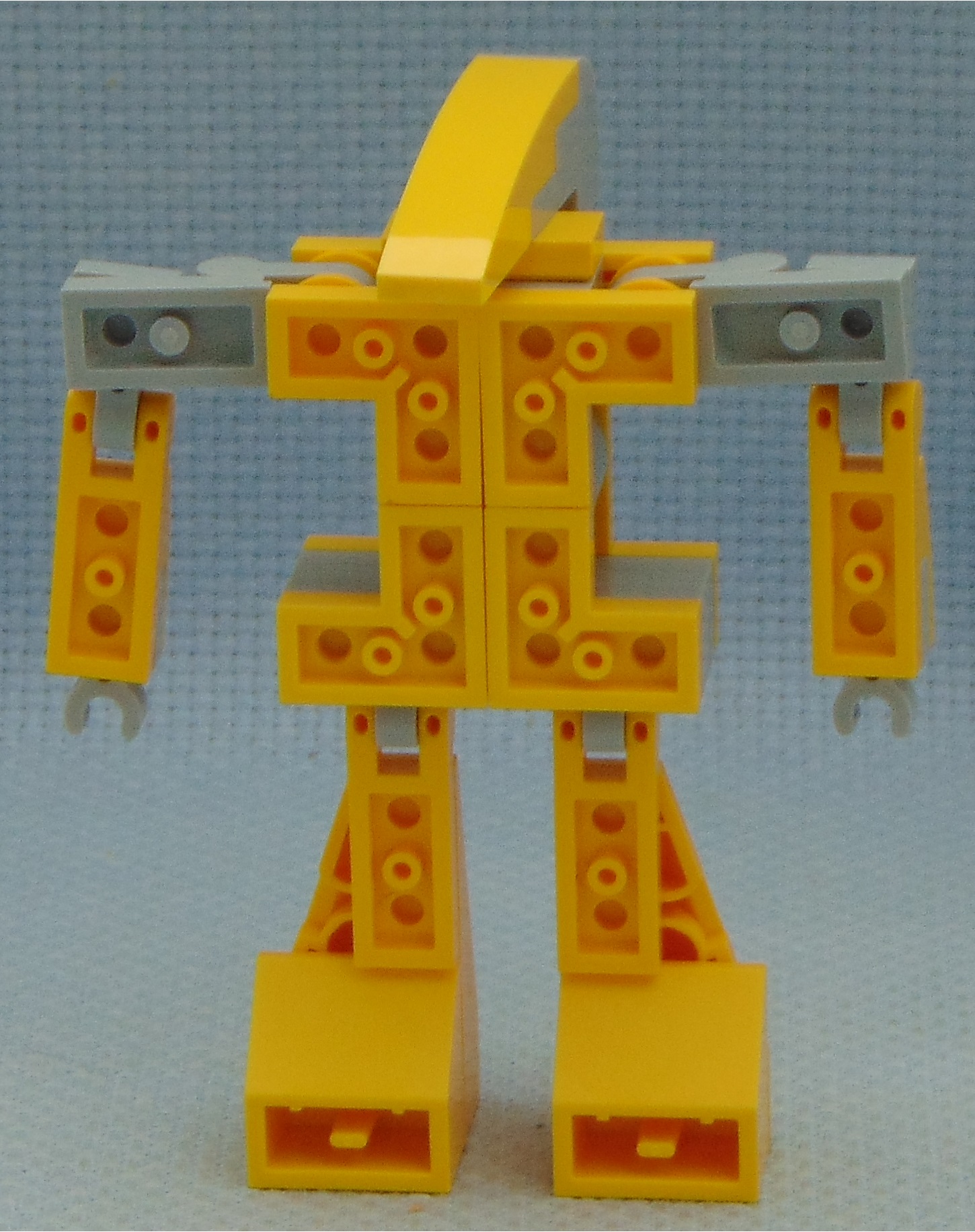 veyman_experiment__rear.jpg