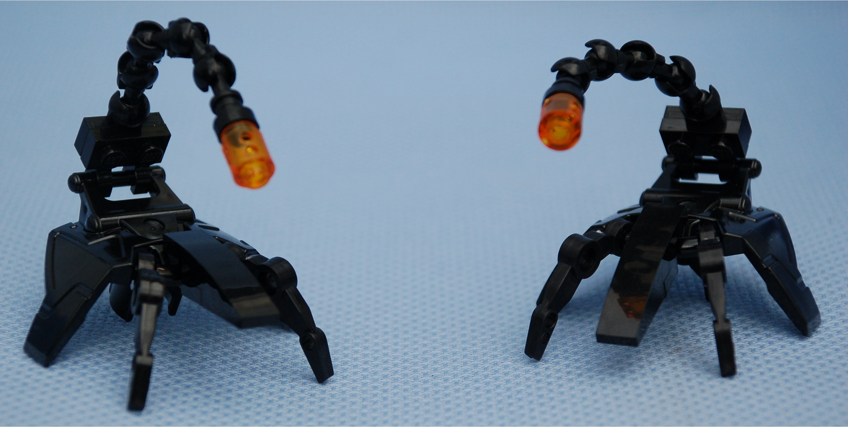 ijad_wingclaws.jpg