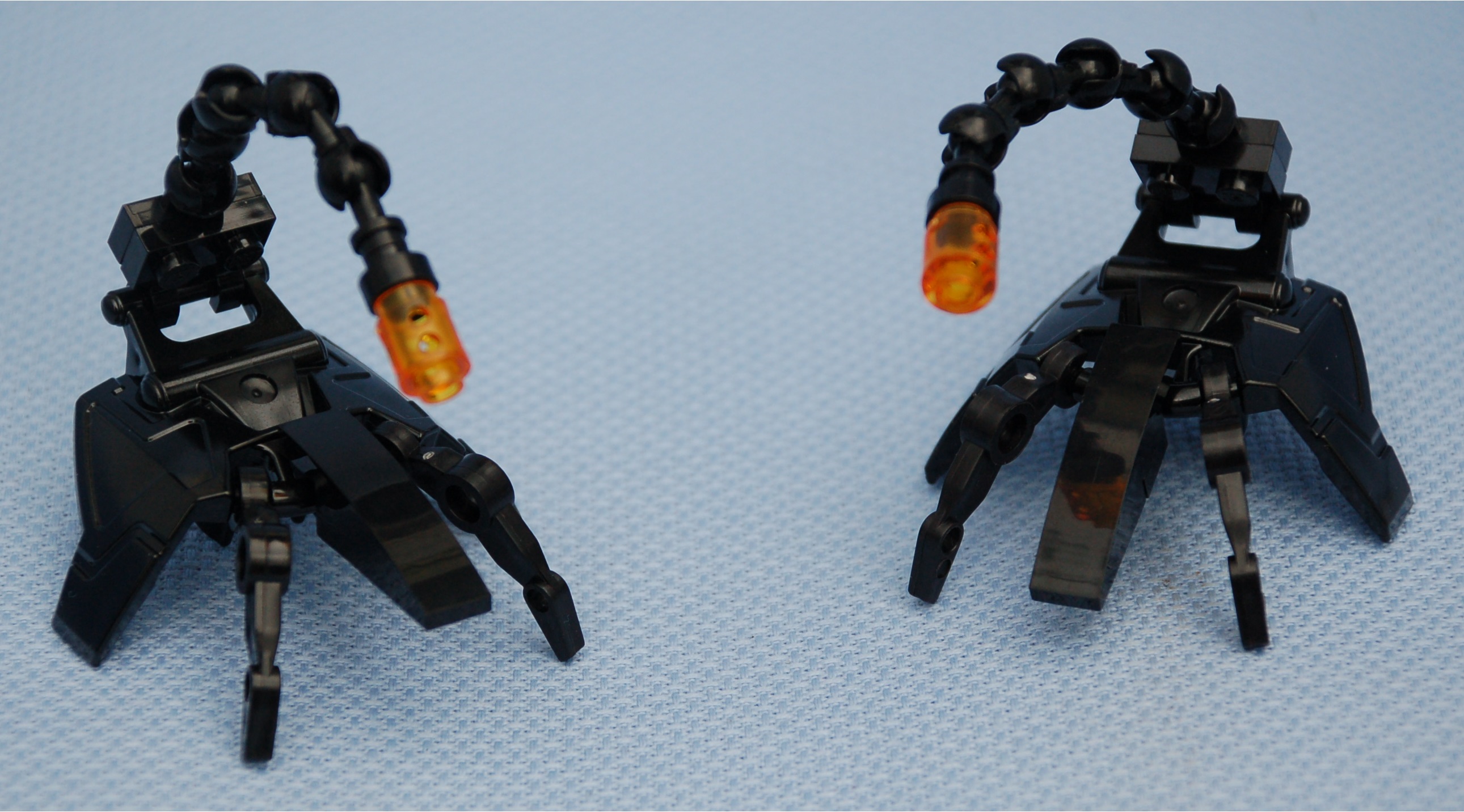 ijad_wingclaws__above.jpg