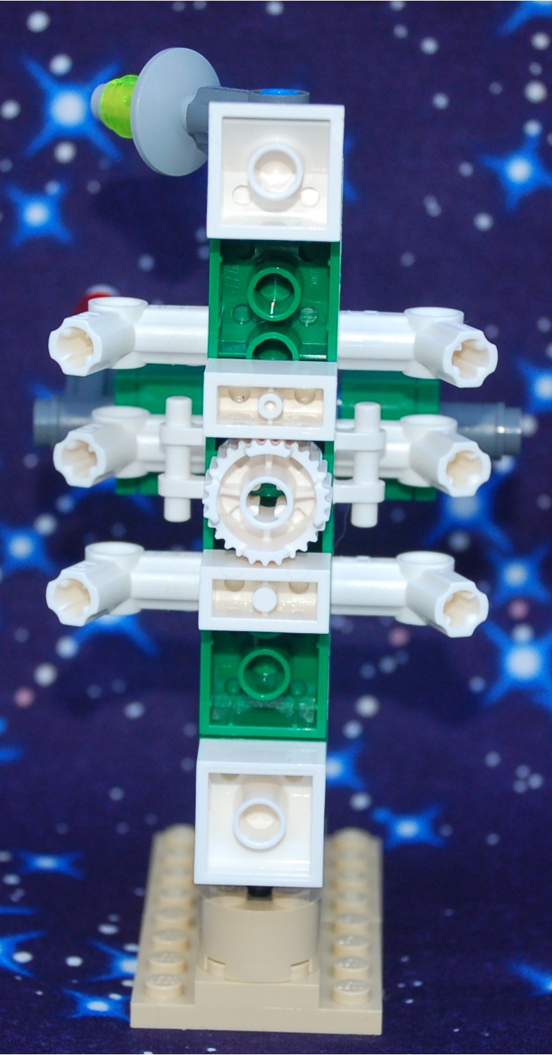 angelfish__rear.jpg