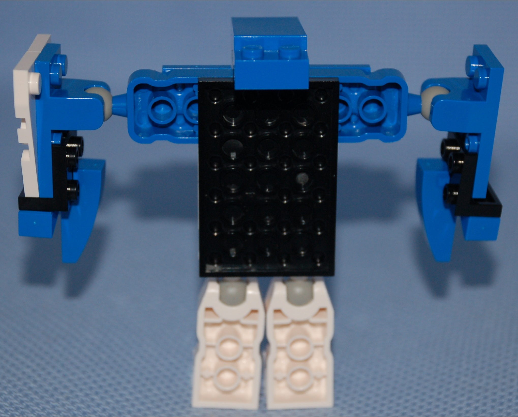 number_1__rear.jpg