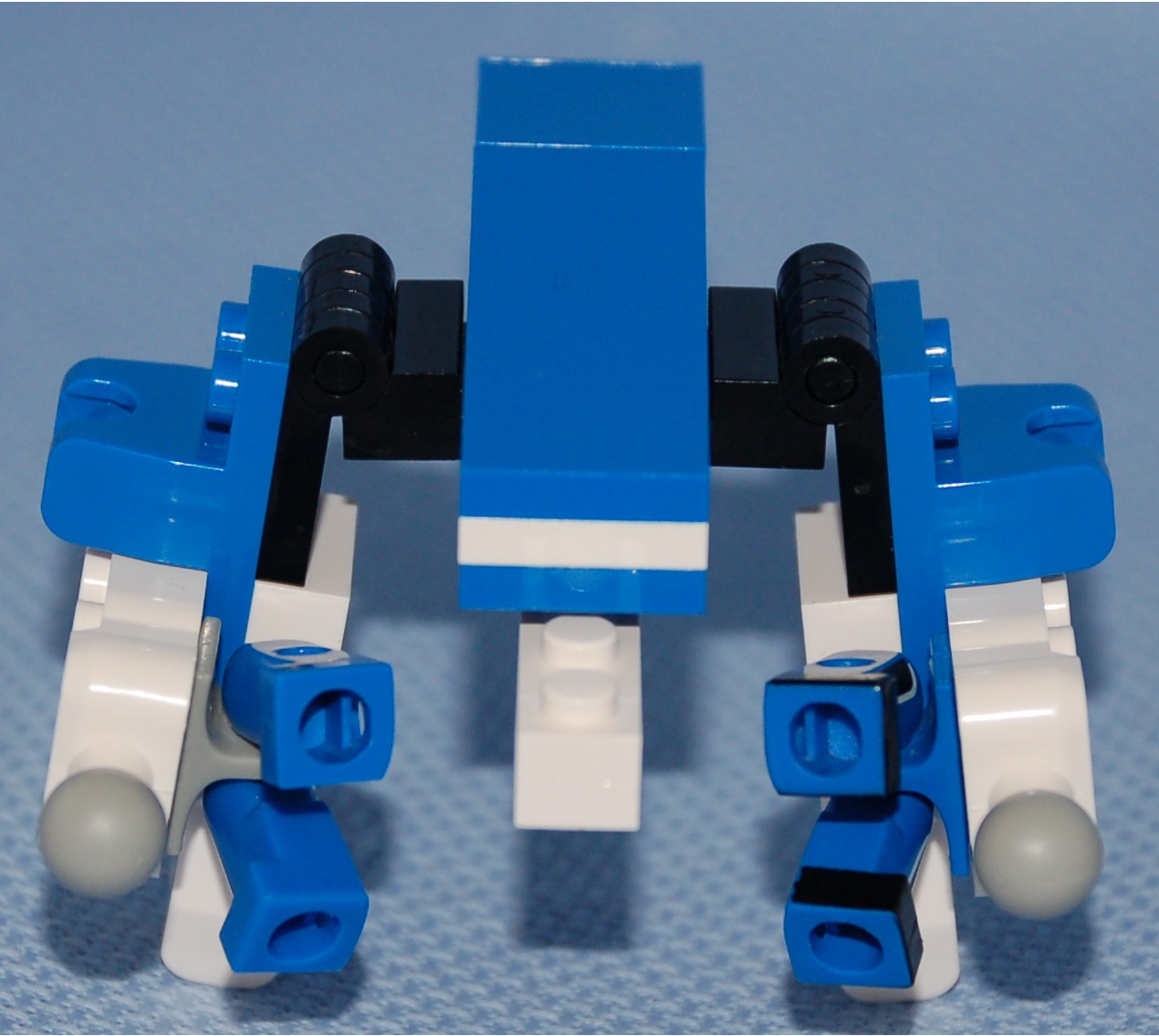 walker__front.jpg