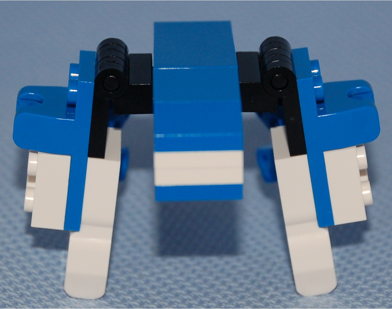 walker__rear.jpg