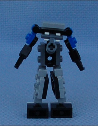 a.s.p.__rear.jpg