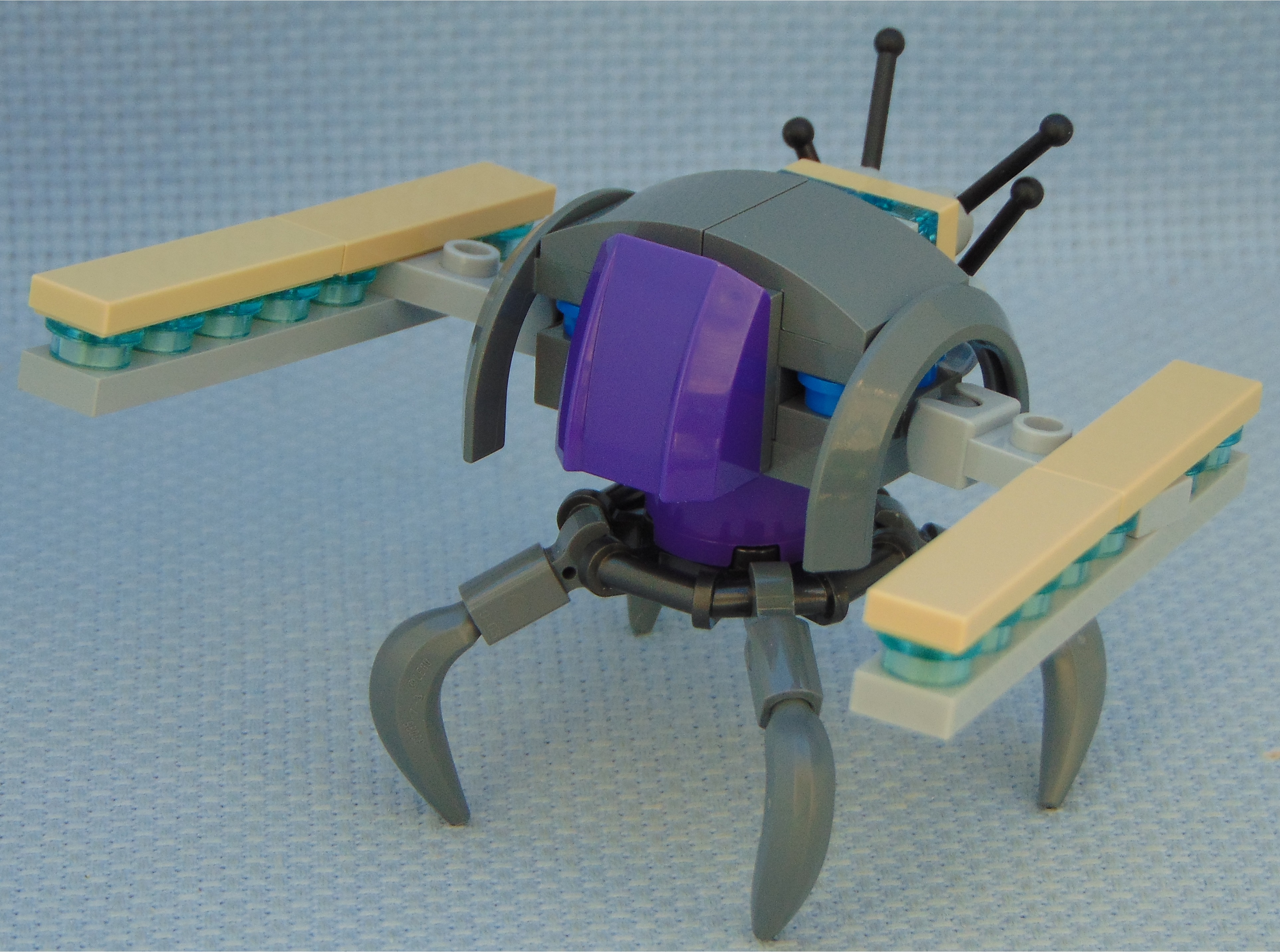 purple_aphid_rbf__angle.jpg