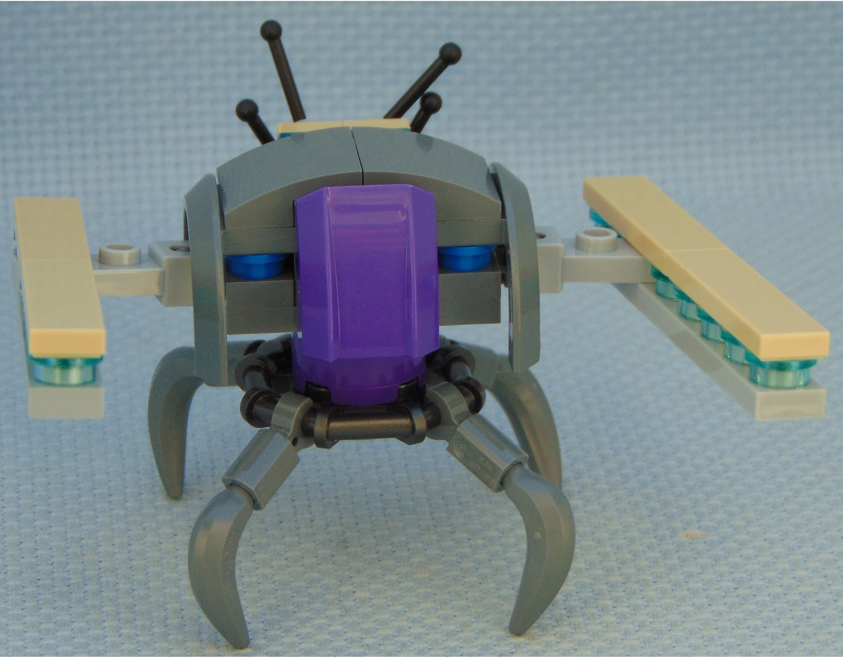 purple_aphid_rbf__front.jpg