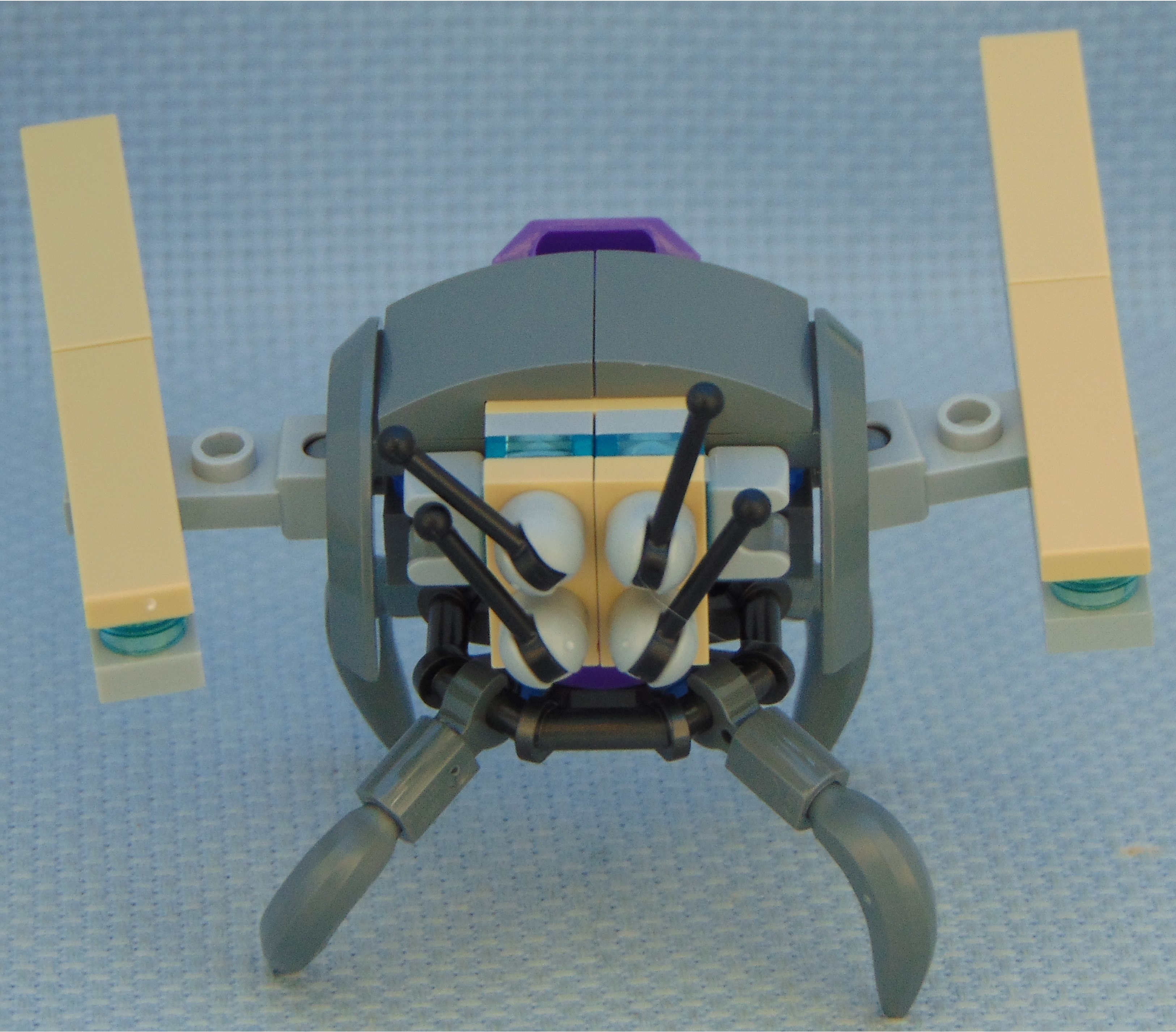 purple_aphid_rbf__rear.jpg