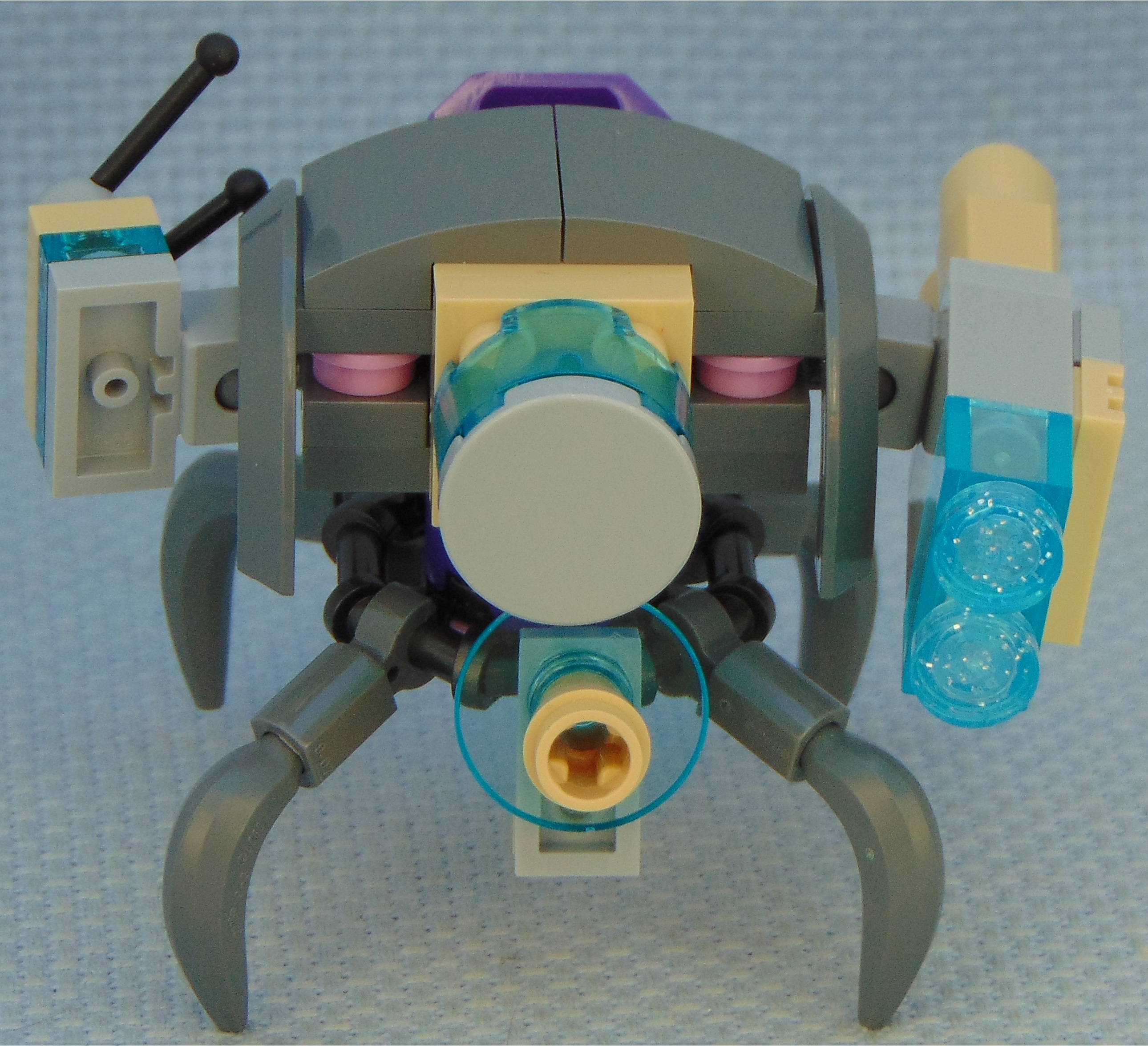purple_aphid_soldier__rear.jpg