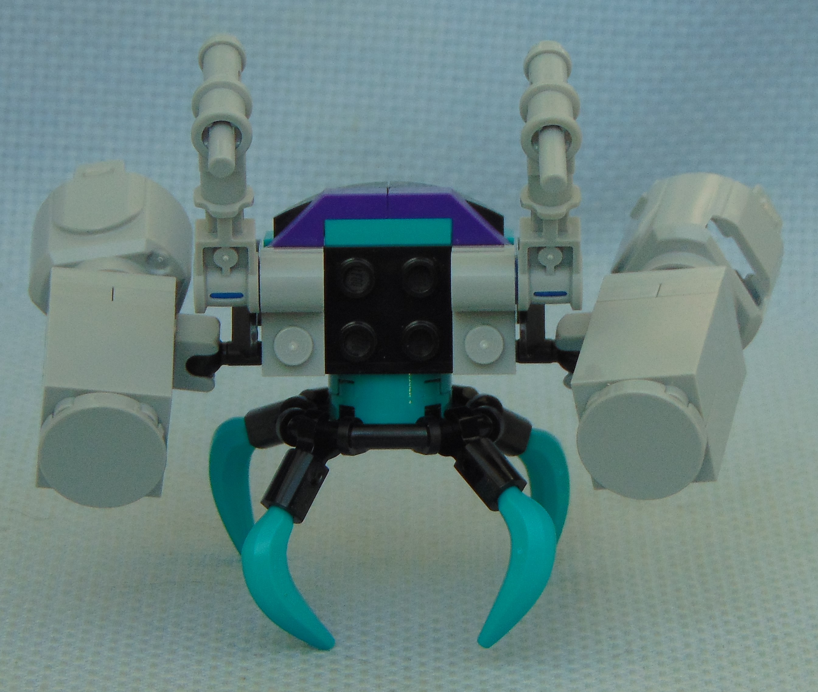 teal_aphid_rbf__rear.jpg