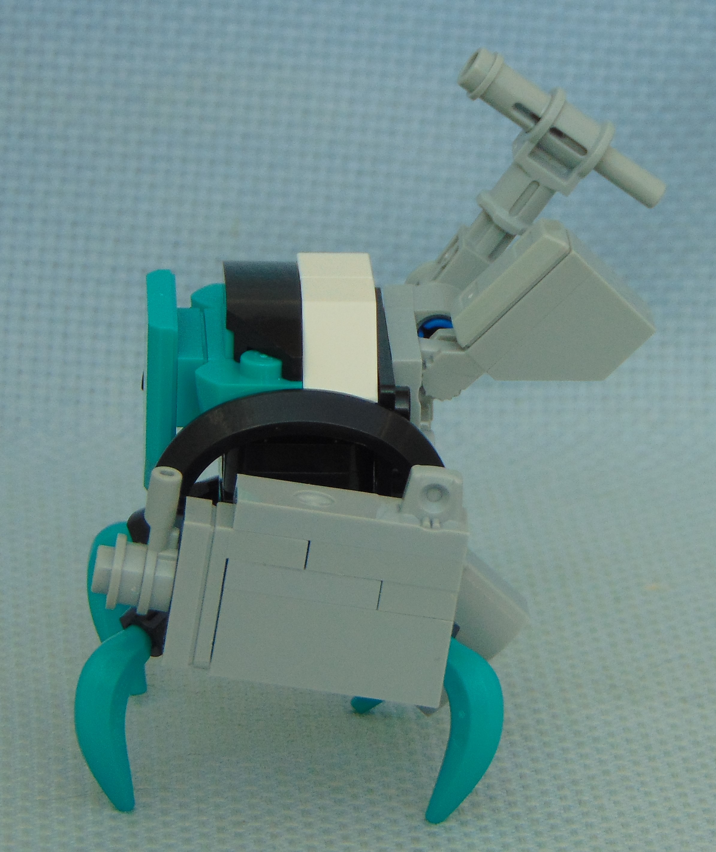 teal_aphid_soldier__left.jpg