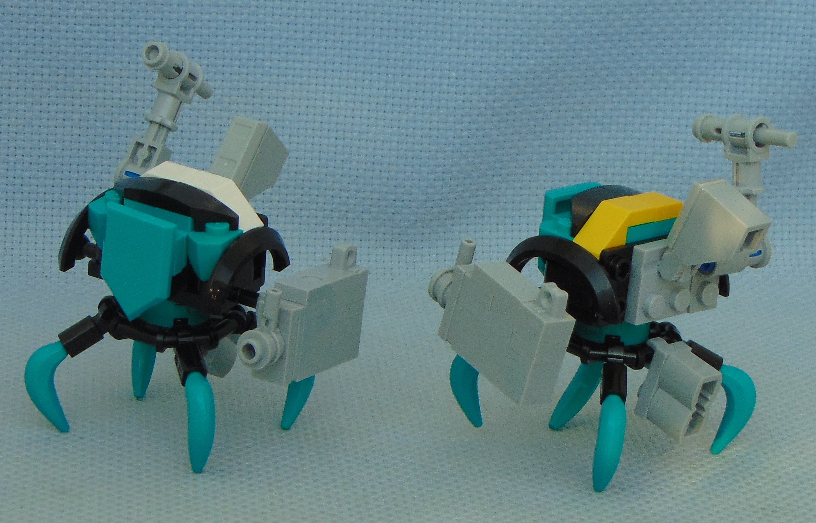 teal_aphid_soldiers.jpg