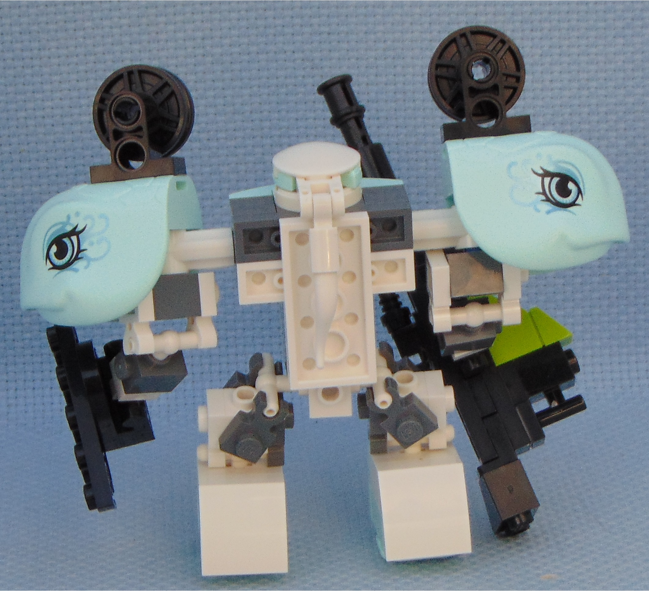 aquarius_delegator__rear.jpg